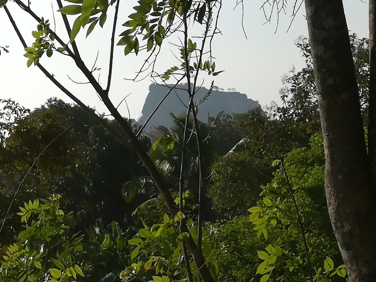 Sigiri Dilu Villa Sigirîya Extérieur photo